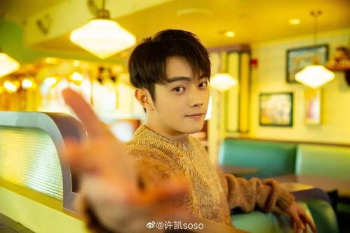 娱乐圈柚子君爆料许凯,娱乐圈柚子君独家爆料，甜蜜恋情引粉丝热议